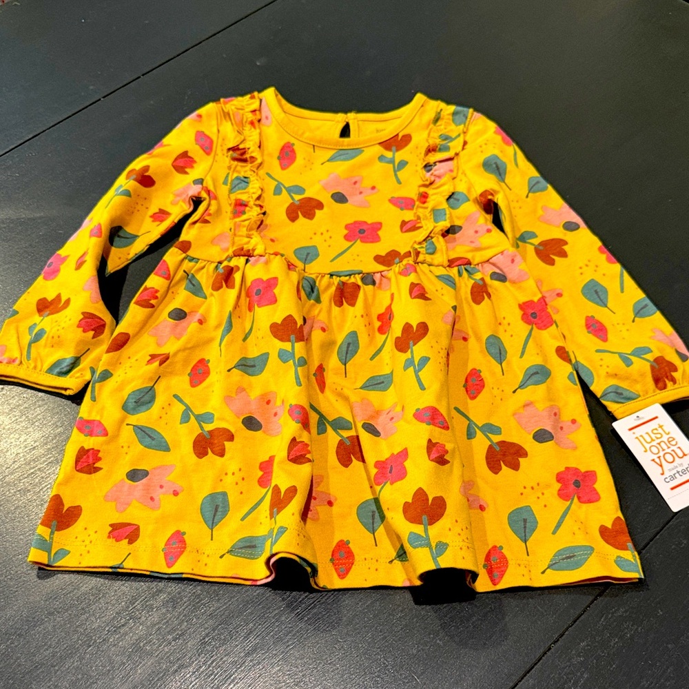 Carter’s 2T Fall/Winter Floral Dress